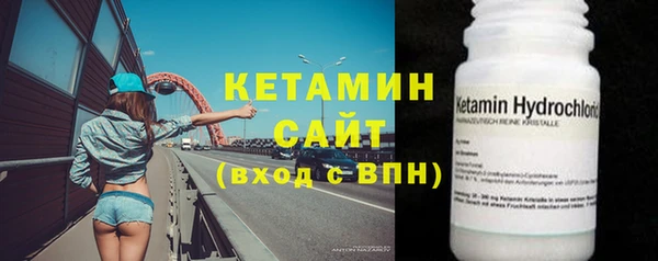 стаф Аркадак
