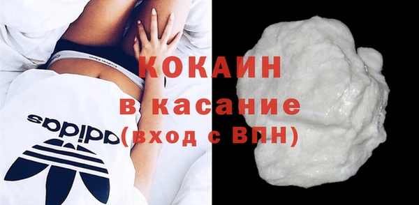 гидра Покачи