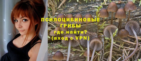 дмт Алзамай