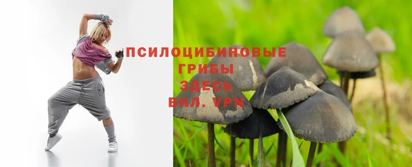 дмт Алзамай