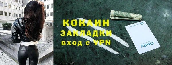 дмт Алзамай