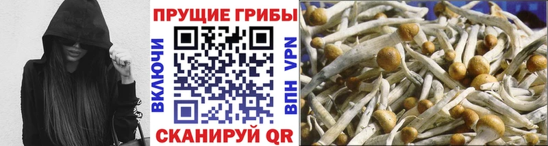 Псилоцибиновые грибы прущие грибы  Белокуриха 
